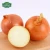 Import top fresh yellow onion wholesale with good market price from China