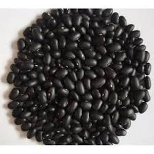 Top quality black kidney beans