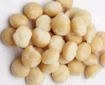 Top Quality Macadamia Nuts COMPETITIVE PRICE