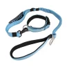 Top Seller Strong Nylon Reflective Bungee Dog Car Seat Belt Pet Collar Leash