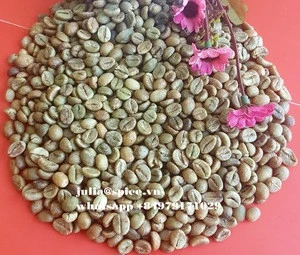 Vietnam coffee bean ( robusta coffee screen 16 )