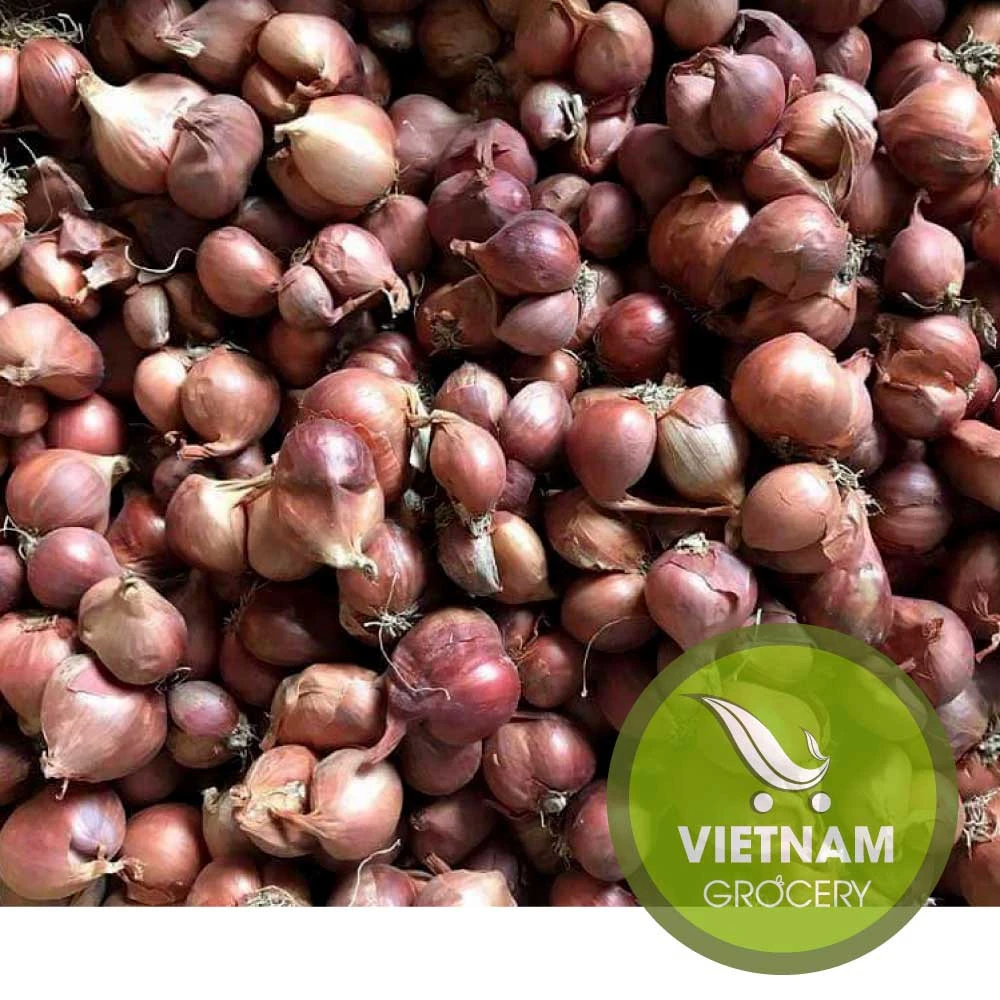Vietnam Fresh Shallot Small Onion
