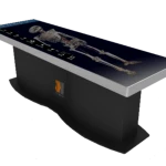 Virtual anatomy Digihuman Anatomy system Autopsy table Medical Education Teaching