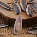 Wholesale Black Sunflower Kernels Seed Buyers Sunflower Seeds
