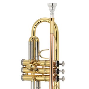 Wholesale Brass Wind Instruments Bb Tone Trumpet (DYTR-2000)
