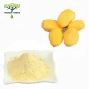 Wholesale Food Additives Mango Fruit Powder/Mango Flavor Powder