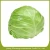 Import Wholesale fresh cabbage prices from China