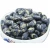 Import wholesale Halal BRC ISO certificate Salted roasted black bean from China