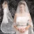 Import Wholesale Lace Wedding Veils Bridal Veils LSWEJ047 from China