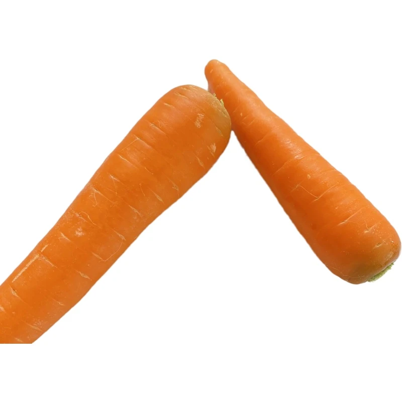 Wholesale nutrition carrots ripe sweet carrots