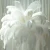 Import wholesale    Ostrich Feather 100pcs/lot 25-30cm Wedding Decorations Plume Performance from China