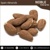 Wholesale Raw Spanish Almonds
