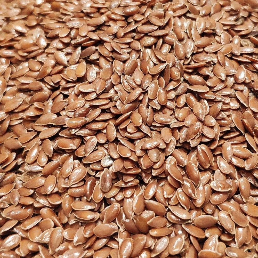Wholesale russian oil flax golden flaxseed
