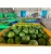 Import WHOLESALE VIETNAM CITRUS FRUIT FRESH GREEN SEEDLESS LIME GREEN LEMON/  WHATSAPP +84964672086 from China