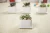 Import Wholesale White Garden Mini Pot Succulent Container Square Pot Tray from China