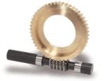 Worms and Worm Wheels Gear Wheel and Worm made in China