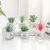 Import Yiwu Plante Artificielle Glass Basin Suculentas Plantas Decorativas Artificiales Korean Succulent Pots Green Plant Artificial from China