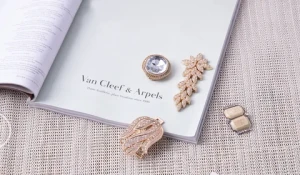 Youshun Multi-specification Round Dome Studs With Prongs