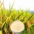 Import amino acid fertiliser from China