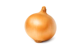 Export quality onion