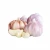 Import Factory Pure White Fresh Garlic Price/ bulk garlic for sale from United Kingdom