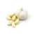 Import Fresh Garlic Cloves Peeled from Belgium