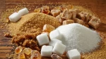 SUGAR VHP
