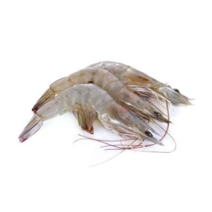 Frozen Endeavour Shrimp / Yellow Dogol Shrimp (Metapenaeus Endeavori)