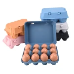 Customized biodegradable egg carton chicken egg cartons paper pulp egg box
