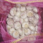 White Garlic Fresh purple Garlic Red Fresh Garlic Factory From China