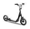 Entry Level Stunt Scooter