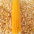 Import Cheap Non GMO White and Yellow Corn/Maize for sale from USA