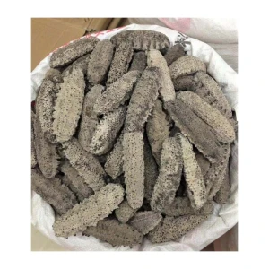 Dried Mexico sea cucumber/ Fresh Sea Cucumber bulk supply