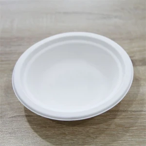 White Eco-friendly Disposable Food Bowl