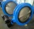 Import U Type Flange Butterfly Valve from China