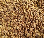 Premium Indonesian Java Green Coffee Beans (Robusta & Arabica) – Export Quality