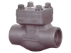 SW End Forged Check Valve