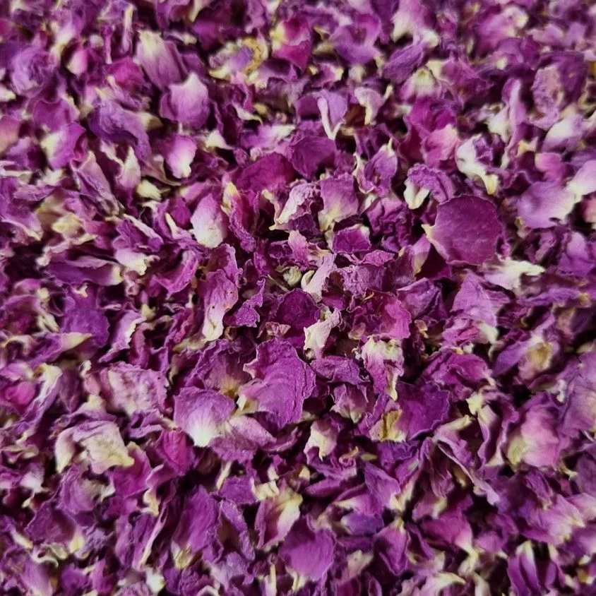 Buy Damask Rose Petals from Mehrspices, Iran | Tradewheel.com