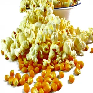 Raw Popcorn Corn Supply