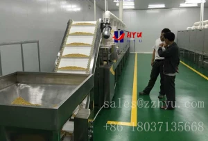 Microwave Dryer (batch production or continuous production)