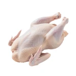 High Quality Chicken of Export Quality Safe Vitamins Box Packaging HALAL Frozen Whole Chicken