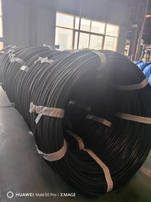Processive Steel Wire and Finished Steel Wire