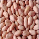 Bold Peanuts oil Type