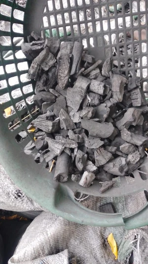Various types of charcoals