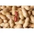 Bold Peanuts oil Type