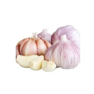 Factory Pure White Fresh Garlic Price/ bulk garlic for sale