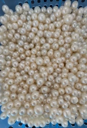 Elegant Pearls