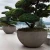 Import fiberglass flower pots concrete flower pots garden ang planter from China