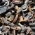 Import HMS 1 and 2 Scrap Metals Cast Iron Scrap  Exporting Globally Used Rails Scrap from Cameroon