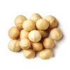100% High Grade Organic Raw Macadamia Nuts Premium Quality Bulk Macadamia Cheap Price